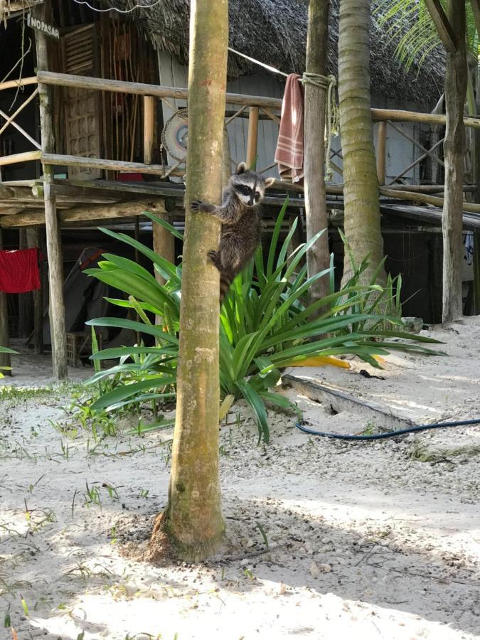 Chavez Eco Beach Camping And Cabanas Tulum Zewnętrze zdjęcie