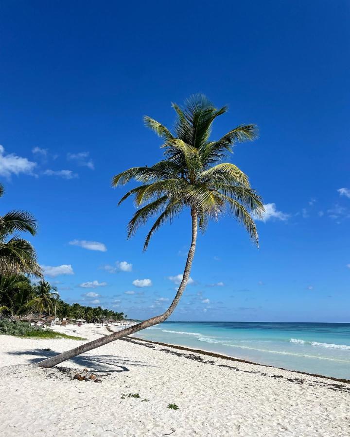 Chavez Eco Beach Camping And Cabanas Tulum Zewnętrze zdjęcie